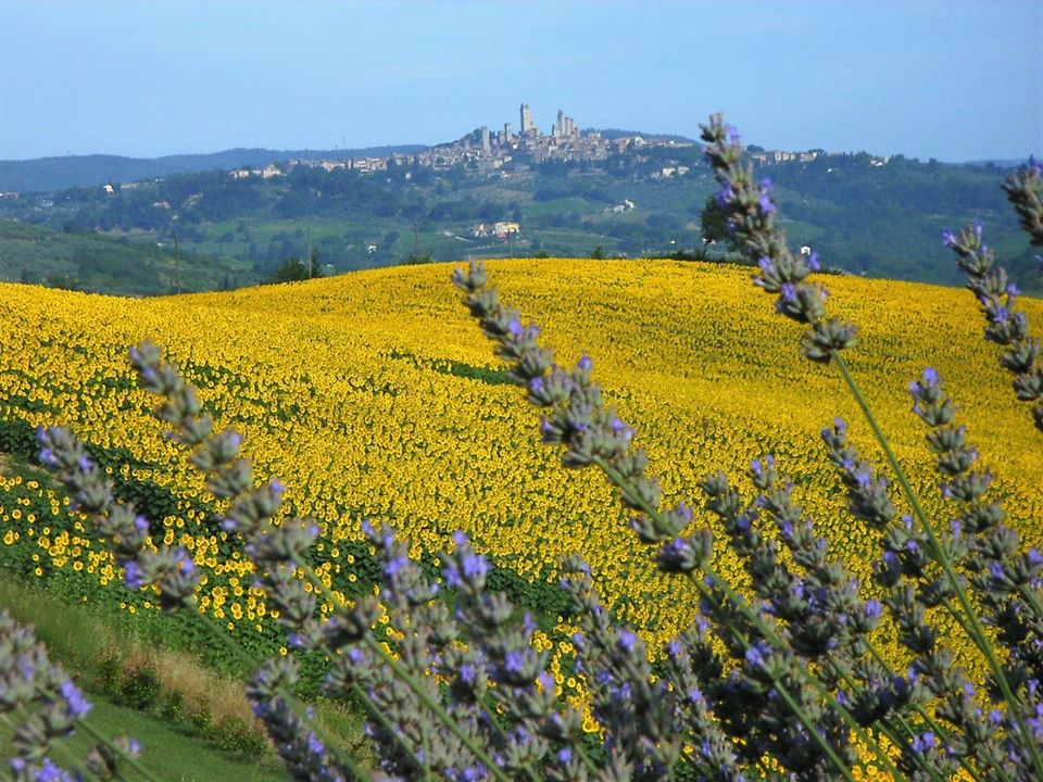 panorama-san-gimignano-006